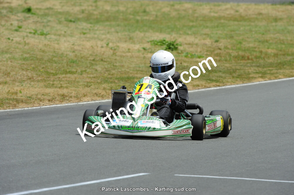 22/06/2014 : 4ème manche du Trophée Jean Paul Puyrigaud à Layrac (Photos Patrick Lascombes) 2014 — karting