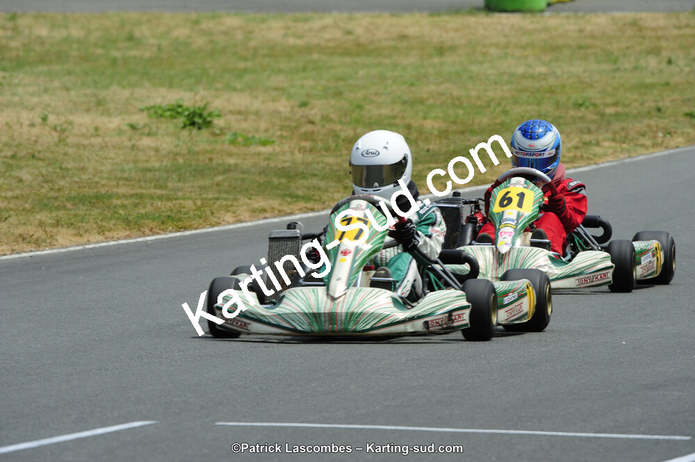 22/06/2014 : 4ème manche du Trophée Jean Paul Puyrigaud à Layrac (Photos Patrick Lascombes) 2014 — karting