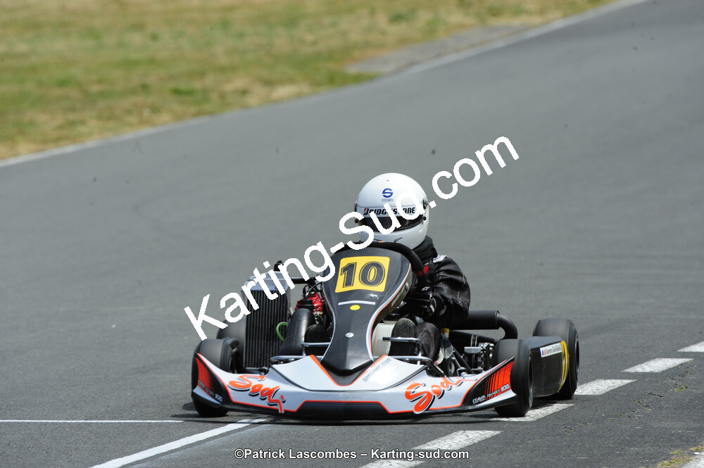 22/06/2014 : 4ème manche du Trophée Jean Paul Puyrigaud à Layrac (Photos Patrick Lascombes) 2014 — karting