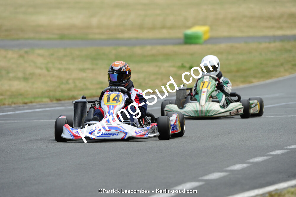 22/06/2014 : 4ème manche du Trophée Jean Paul Puyrigaud à Layrac (Photos Patrick Lascombes) 2014 — karting