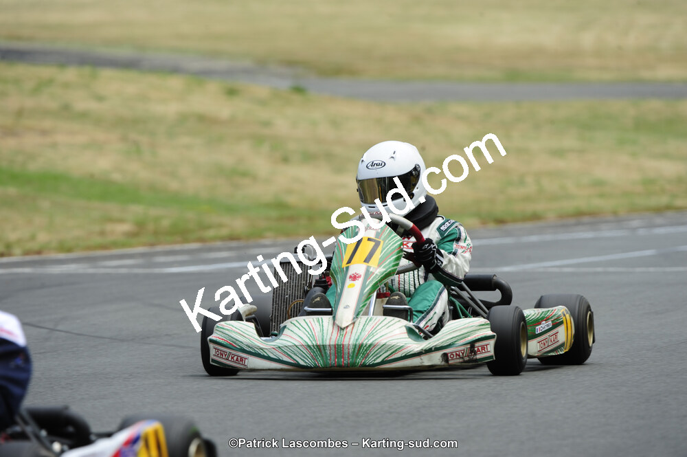 22/06/2014 : 4ème manche du Trophée Jean Paul Puyrigaud à Layrac (Photos Patrick Lascombes) 2014 — karting