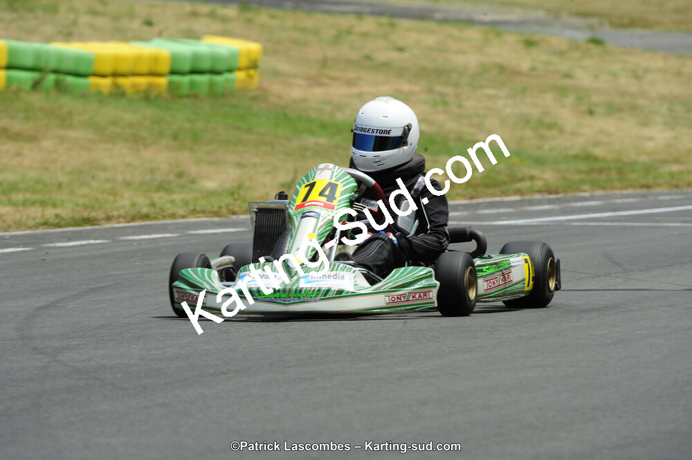 22/06/2014 : 4ème manche du Trophée Jean Paul Puyrigaud à Layrac (Photos Patrick Lascombes) 2014 — karting
