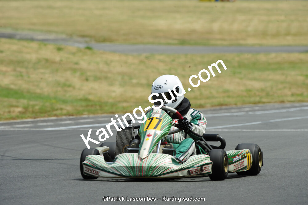 22/06/2014 : 4ème manche du Trophée Jean Paul Puyrigaud à Layrac (Photos Patrick Lascombes) 2014 — karting