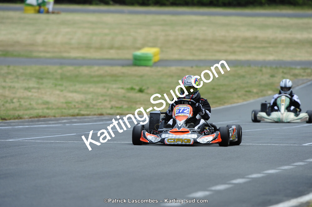 22/06/2014 : 4ème manche du Trophée Jean Paul Puyrigaud à Layrac (Photos Patrick Lascombes) 2014 — karting