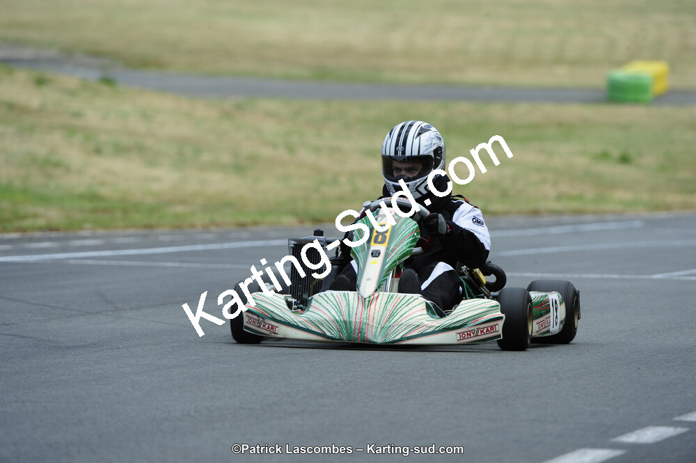 22/06/2014 : 4ème manche du Trophée Jean Paul Puyrigaud à Layrac (Photos Patrick Lascombes) 2014 — karting