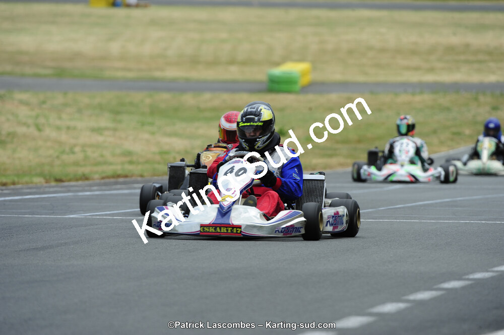 22/06/2014 : 4ème manche du Trophée Jean Paul Puyrigaud à Layrac (Photos Patrick Lascombes) 2014 — karting
