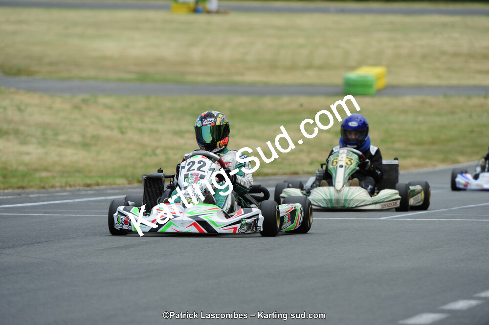 22/06/2014 : 4ème manche du Trophée Jean Paul Puyrigaud à Layrac (Photos Patrick Lascombes) 2014 — karting