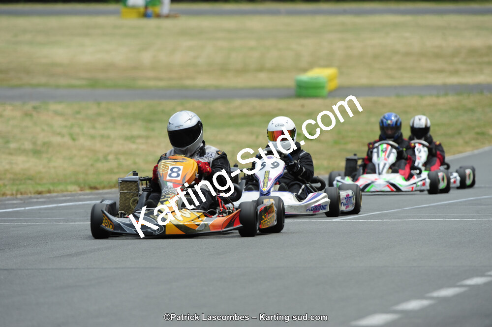 22/06/2014 : 4ème manche du Trophée Jean Paul Puyrigaud à Layrac (Photos Patrick Lascombes) 2014 — karting