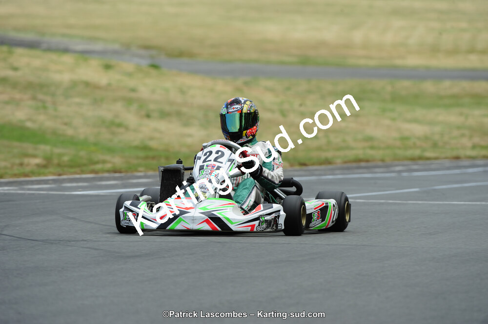 22/06/2014 : 4ème manche du Trophée Jean Paul Puyrigaud à Layrac (Photos Patrick Lascombes) 2014 — karting