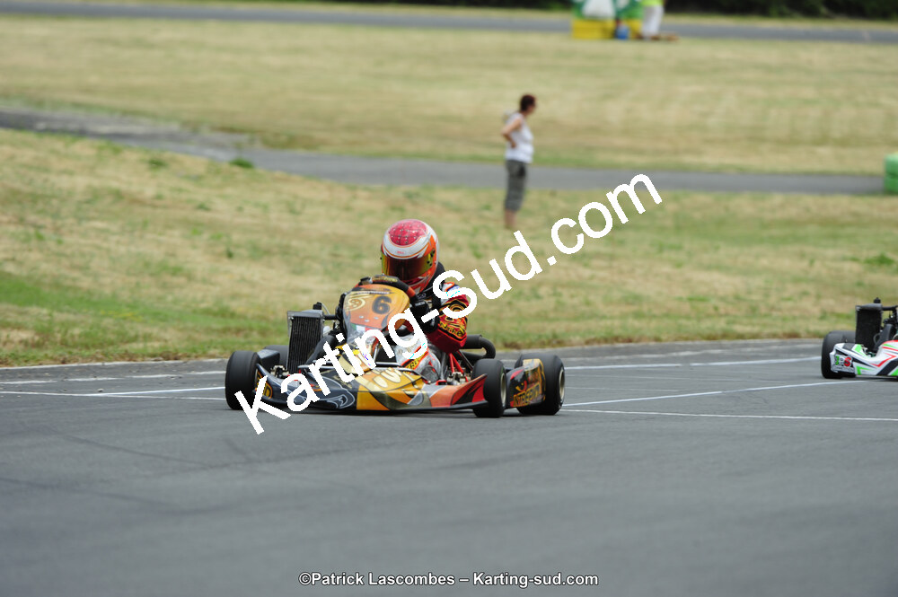 22/06/2014 : 4ème manche du Trophée Jean Paul Puyrigaud à Layrac (Photos Patrick Lascombes) 2014 — karting