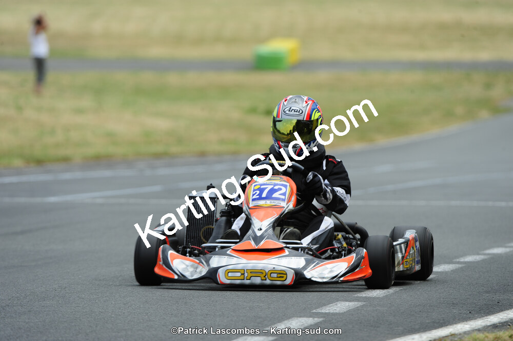 22/06/2014 : 4ème manche du Trophée Jean Paul Puyrigaud à Layrac (Photos Patrick Lascombes) 2014 — karting