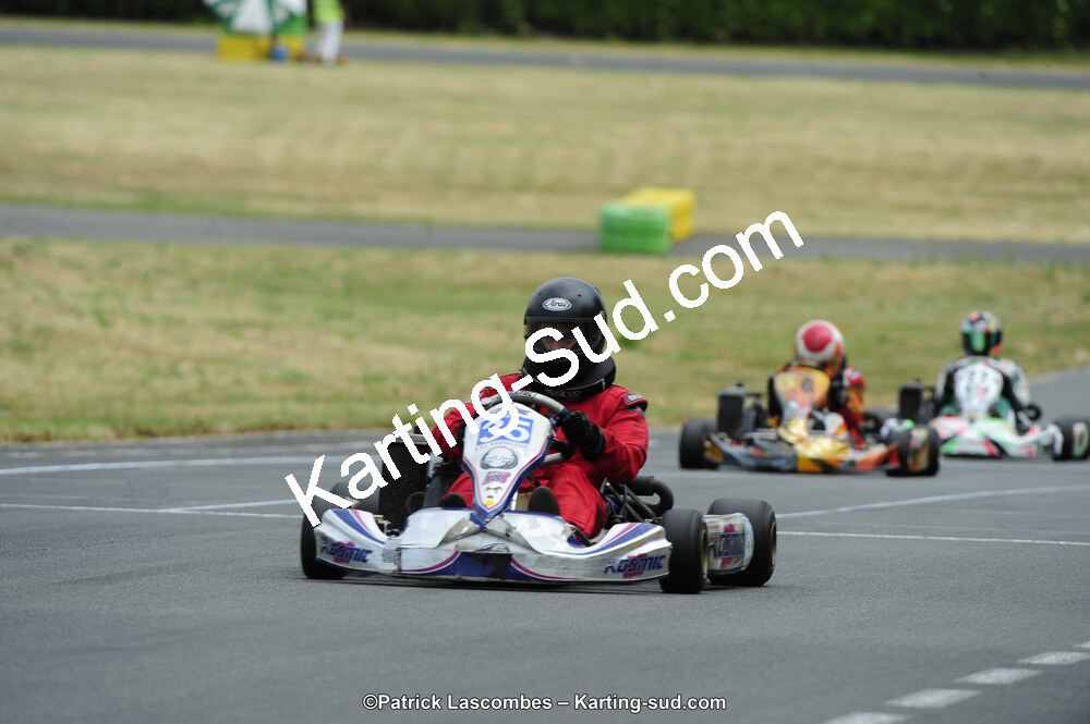 22/06/2014 : 4ème manche du Trophée Jean Paul Puyrigaud à Layrac (Photos Patrick Lascombes) 2014 — karting
