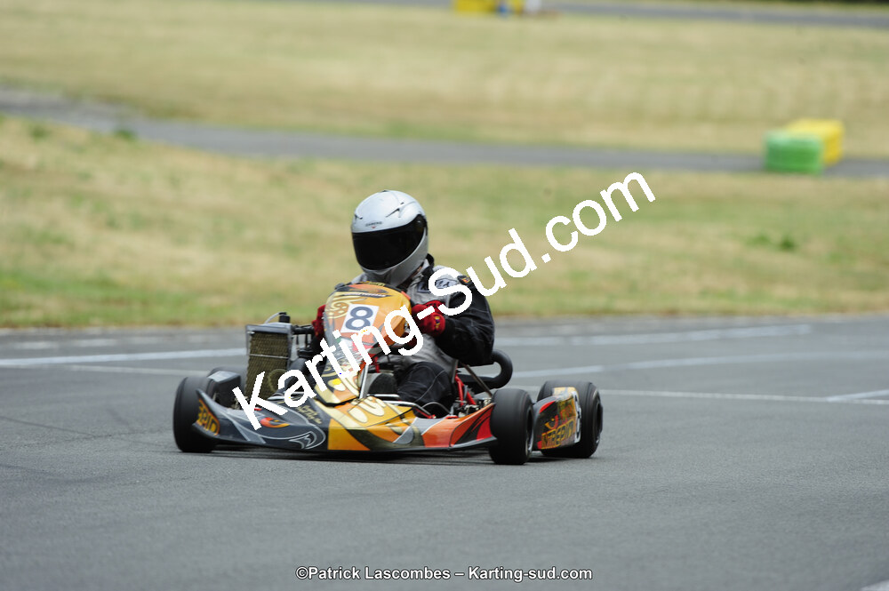 22/06/2014 : 4ème manche du Trophée Jean Paul Puyrigaud à Layrac (Photos Patrick Lascombes) 2014 — karting