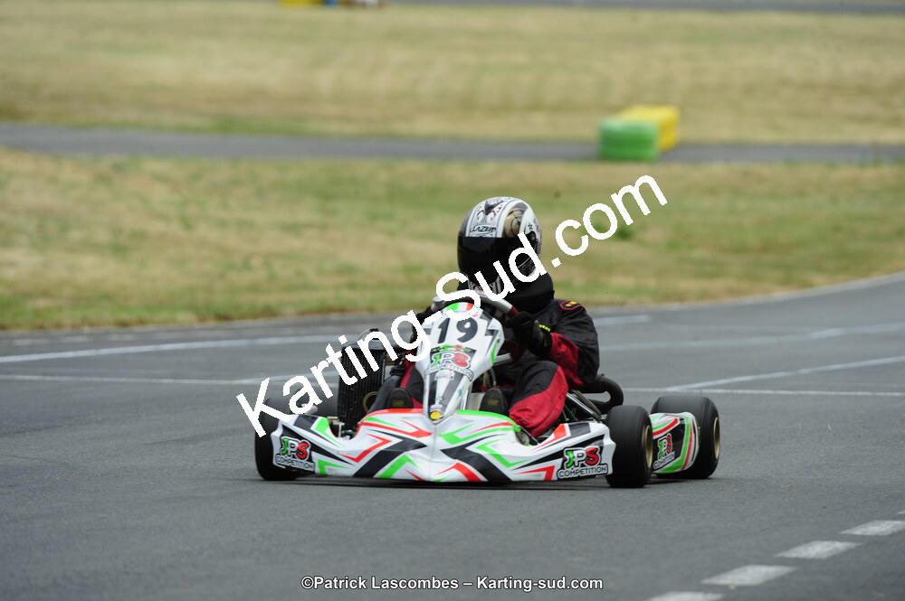 22/06/2014 : 4ème manche du Trophée Jean Paul Puyrigaud à Layrac (Photos Patrick Lascombes) 2014 — karting