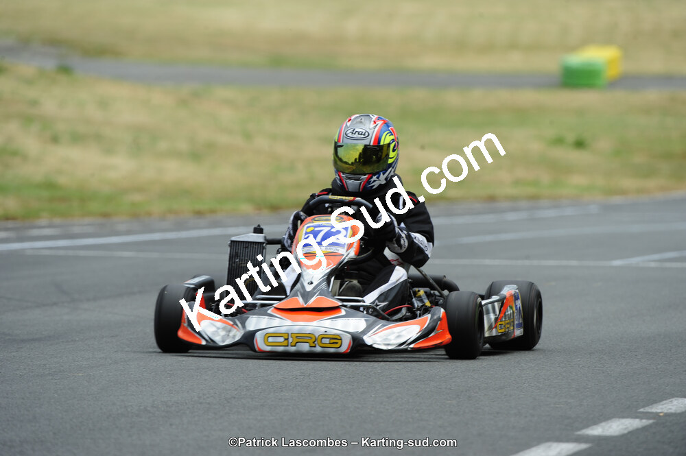 22/06/2014 : 4ème manche du Trophée Jean Paul Puyrigaud à Layrac (Photos Patrick Lascombes) 2014 — karting