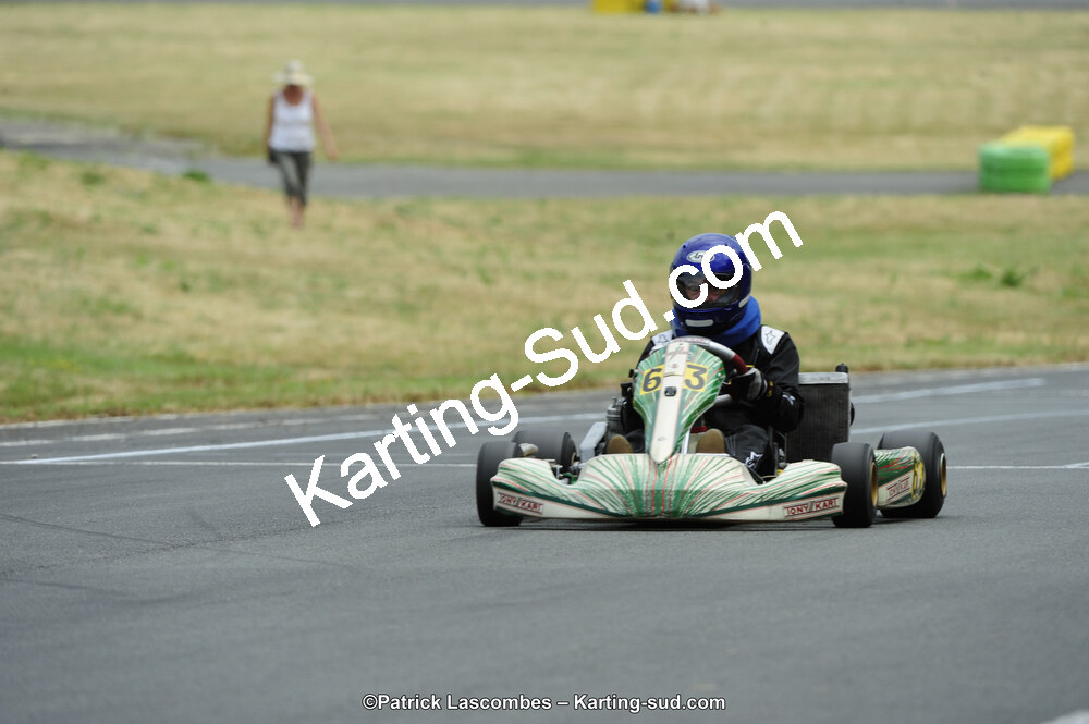 22/06/2014 : 4ème manche du Trophée Jean Paul Puyrigaud à Layrac (Photos Patrick Lascombes) 2014 — karting