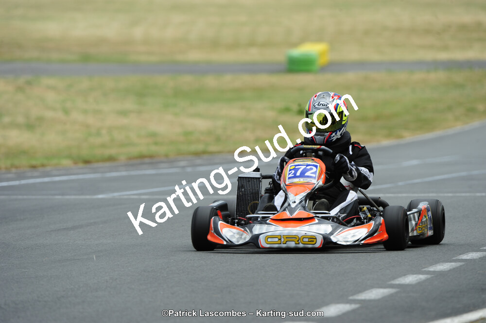 22/06/2014 : 4ème manche du Trophée Jean Paul Puyrigaud à Layrac (Photos Patrick Lascombes) 2014 — karting