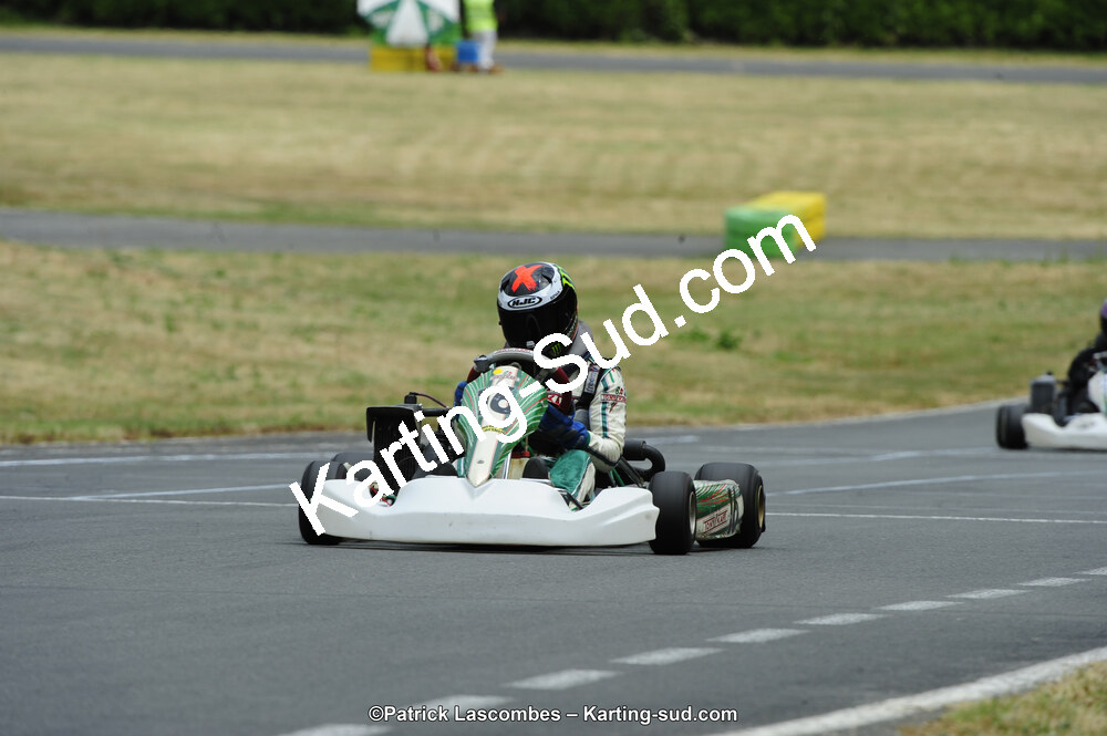 22/06/2014 : 4ème manche du Trophée Jean Paul Puyrigaud à Layrac (Photos Patrick Lascombes) 2014 — karting