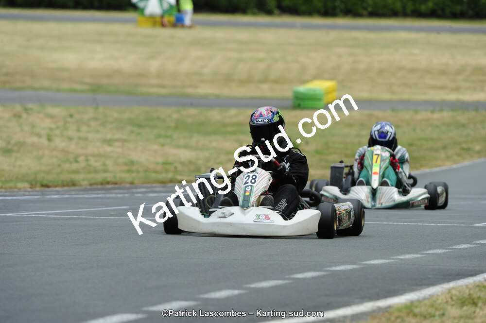22/06/2014 : 4ème manche du Trophée Jean Paul Puyrigaud à Layrac (Photos Patrick Lascombes) 2014 — karting