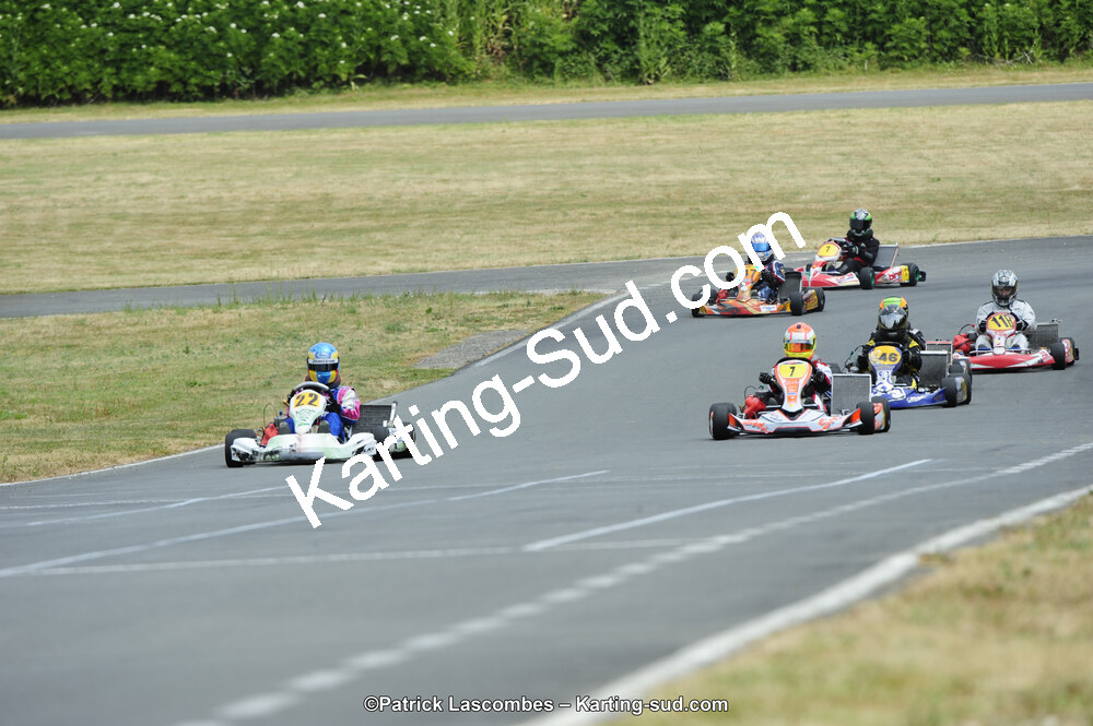 22/06/2014 : 4ème manche du Trophée Jean Paul Puyrigaud à Layrac (Photos Patrick Lascombes) 2014 — karting