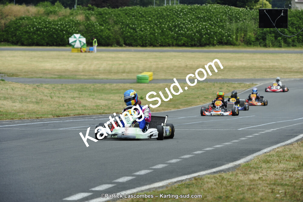 22/06/2014 : 4ème manche du Trophée Jean Paul Puyrigaud à Layrac (Photos Patrick Lascombes) 2014 — karting
