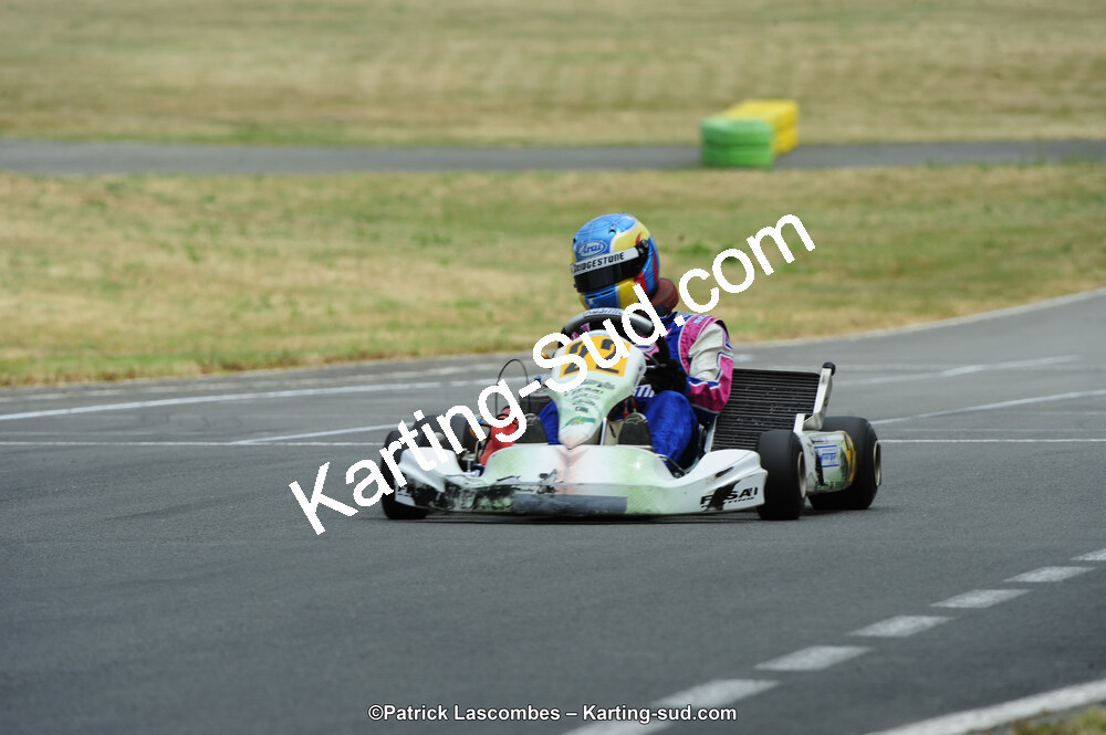 22/06/2014 : 4ème manche du Trophée Jean Paul Puyrigaud à Layrac (Photos Patrick Lascombes) 2014 — karting