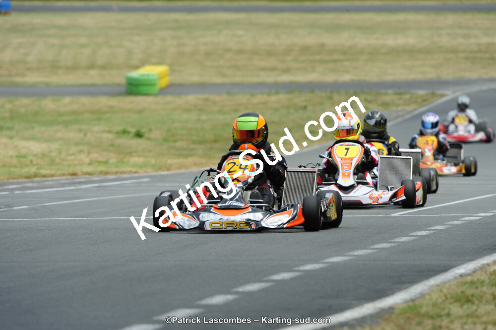 22/06/2014 : 4ème manche du Trophée Jean Paul Puyrigaud à Layrac (Photos Patrick Lascombes) 2014 — karting