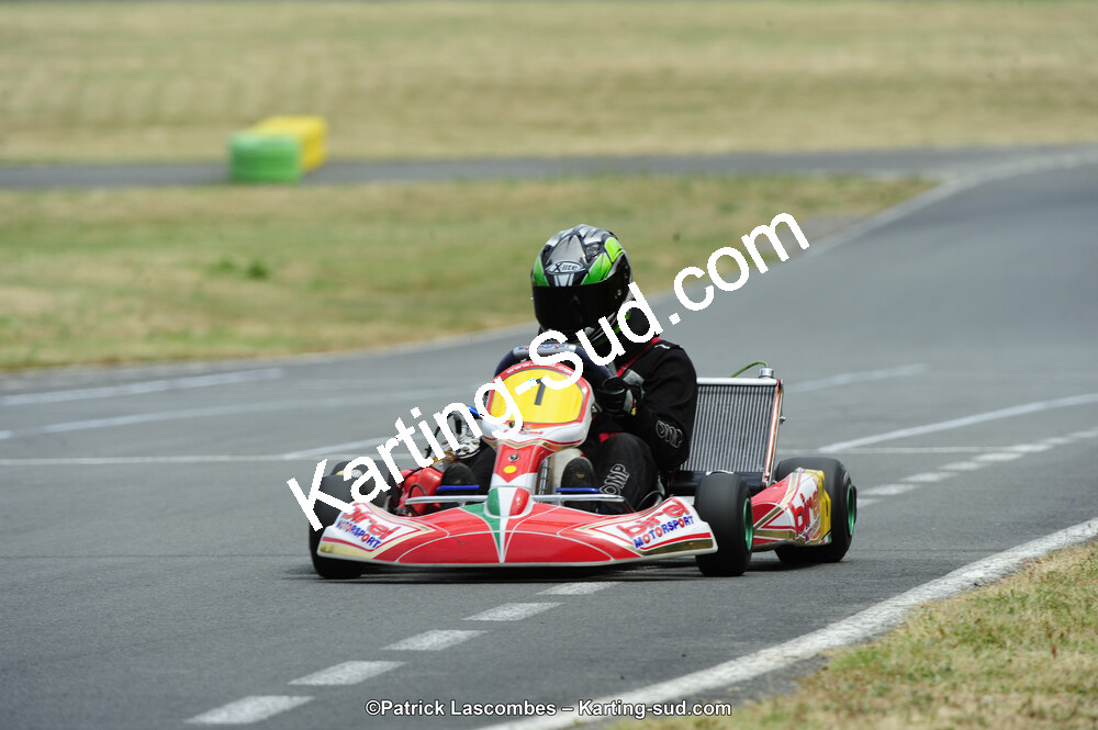 22/06/2014 : 4ème manche du Trophée Jean Paul Puyrigaud à Layrac (Photos Patrick Lascombes) 2014 — karting