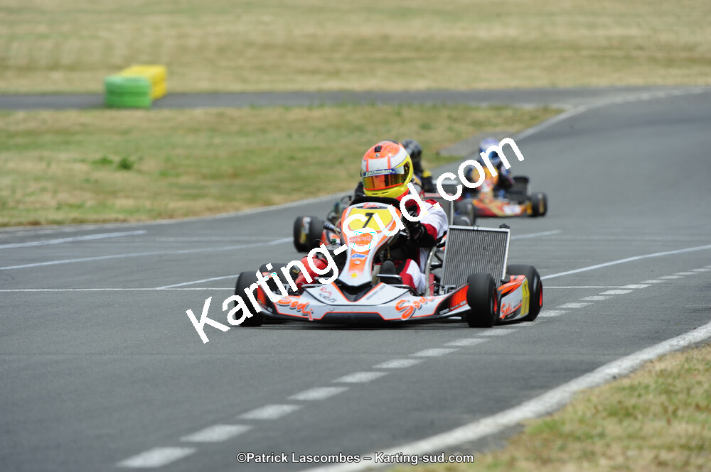 22/06/2014 : 4ème manche du Trophée Jean Paul Puyrigaud à Layrac (Photos Patrick Lascombes) 2014 — karting