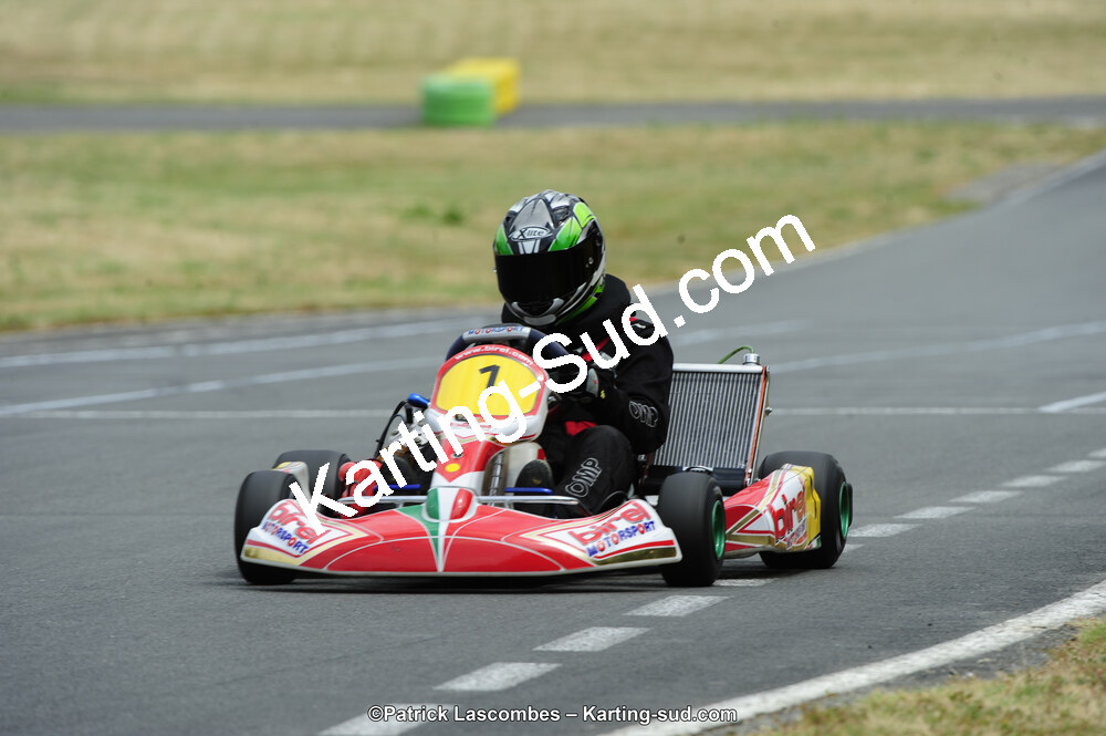 22/06/2014 : 4ème manche du Trophée Jean Paul Puyrigaud à Layrac (Photos Patrick Lascombes) 2014 — karting