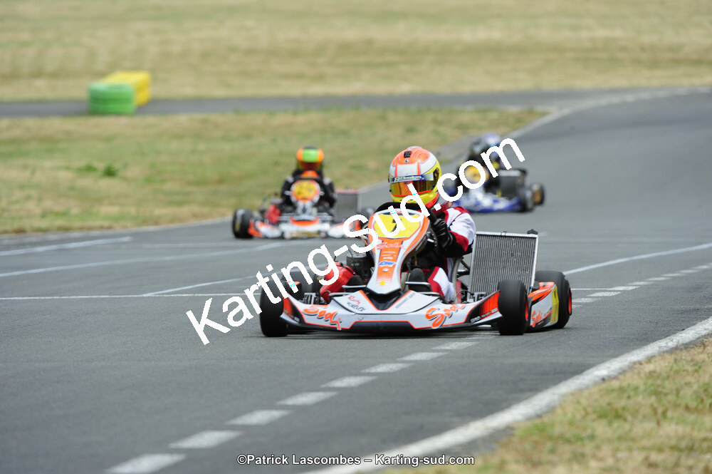 22/06/2014 : 4ème manche du Trophée Jean Paul Puyrigaud à Layrac (Photos Patrick Lascombes) 2014 — karting