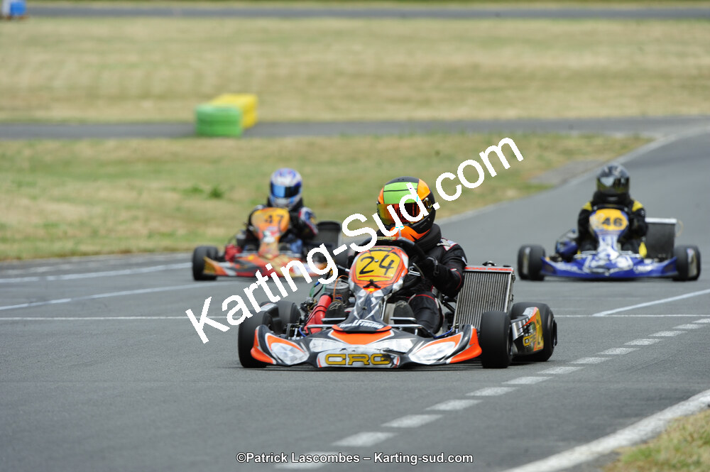 22/06/2014 : 4ème manche du Trophée Jean Paul Puyrigaud à Layrac (Photos Patrick Lascombes) 2014 — karting