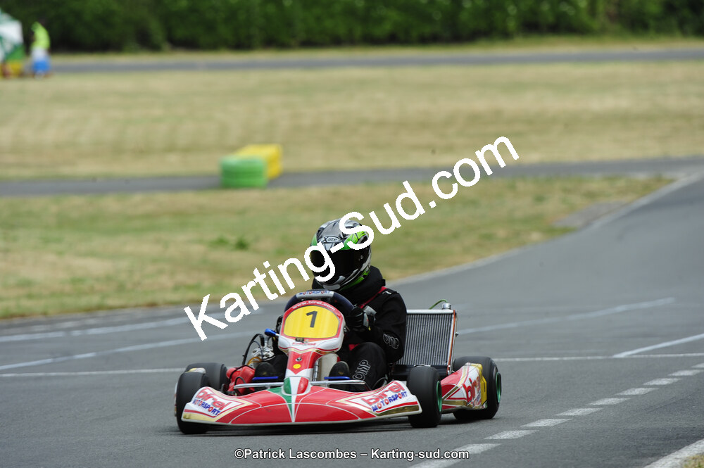 22/06/2014 : 4ème manche du Trophée Jean Paul Puyrigaud à Layrac (Photos Patrick Lascombes) 2014 — karting