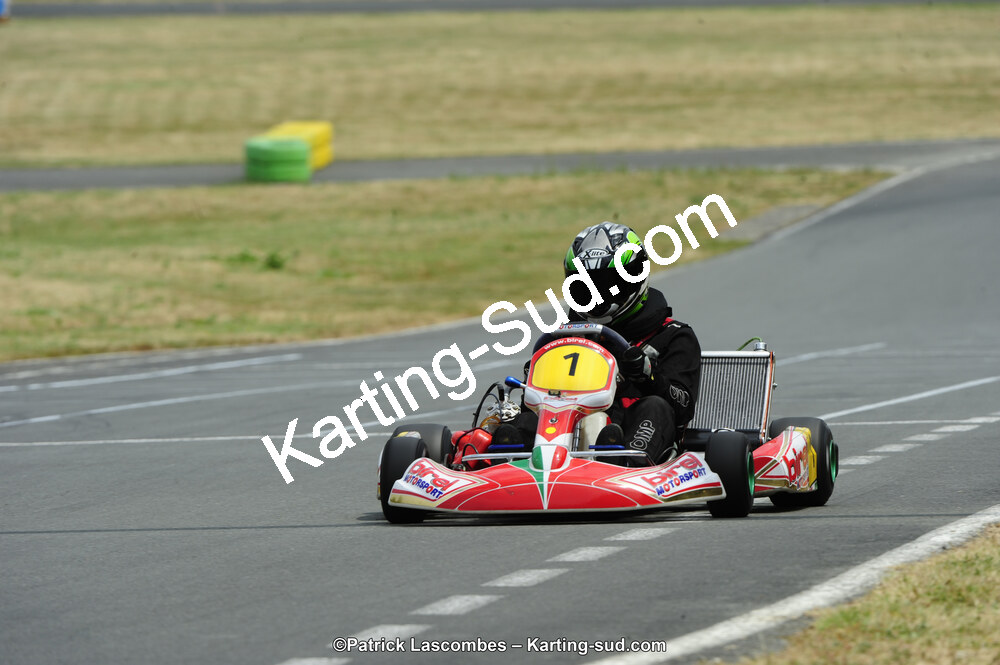 22/06/2014 : 4ème manche du Trophée Jean Paul Puyrigaud à Layrac (Photos Patrick Lascombes) 2014 — karting