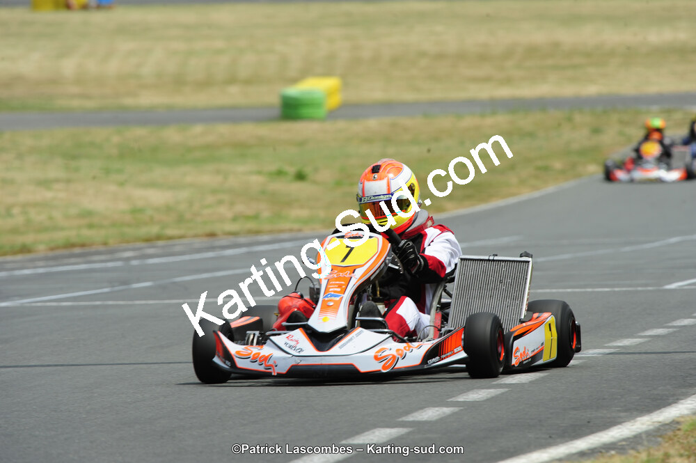 22/06/2014 : 4ème manche du Trophée Jean Paul Puyrigaud à Layrac (Photos Patrick Lascombes) 2014 — karting