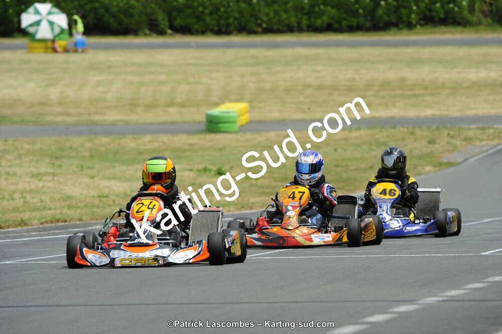22/06/2014 : 4ème manche du Trophée Jean Paul Puyrigaud à Layrac (Photos Patrick Lascombes) 2014 — karting