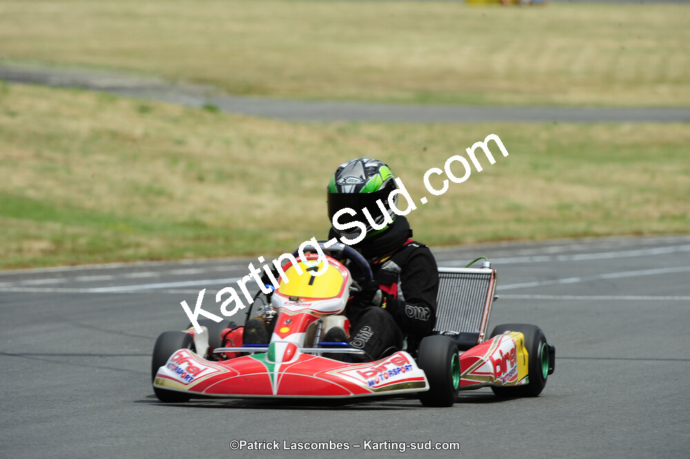 22/06/2014 : 4ème manche du Trophée Jean Paul Puyrigaud à Layrac (Photos Patrick Lascombes) 2014 — karting