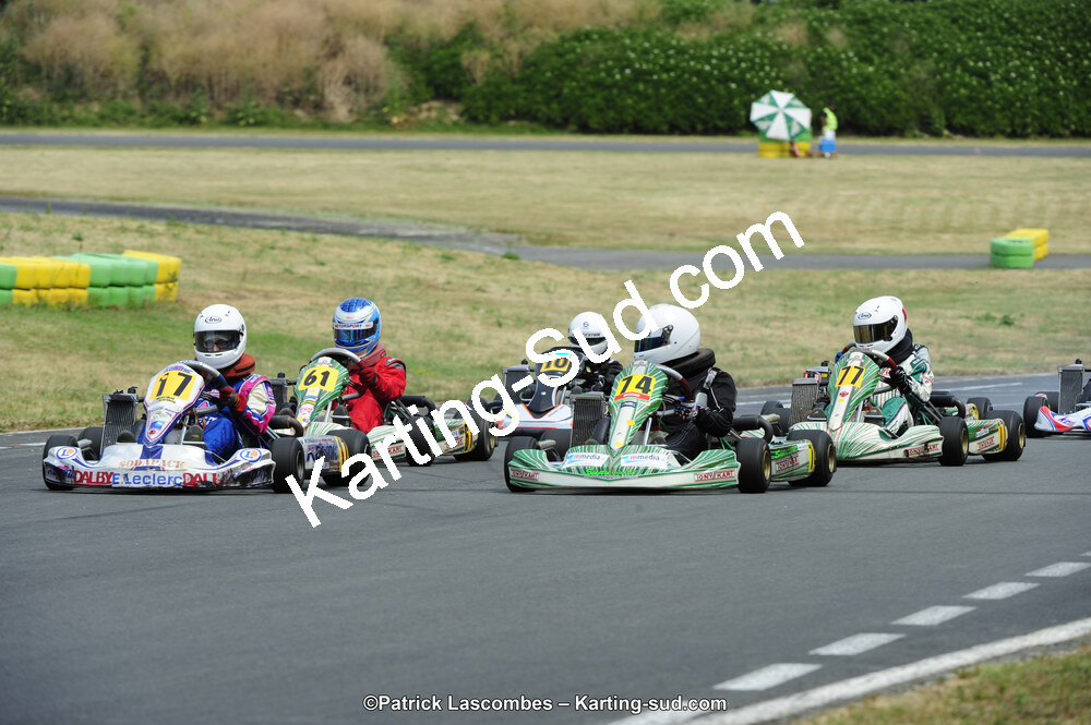22/06/2014 : 4ème manche du Trophée Jean Paul Puyrigaud à Layrac (Photos Patrick Lascombes) 2014 — karting