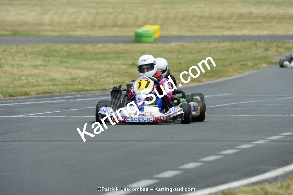22/06/2014 : 4ème manche du Trophée Jean Paul Puyrigaud à Layrac (Photos Patrick Lascombes) 2014 — karting