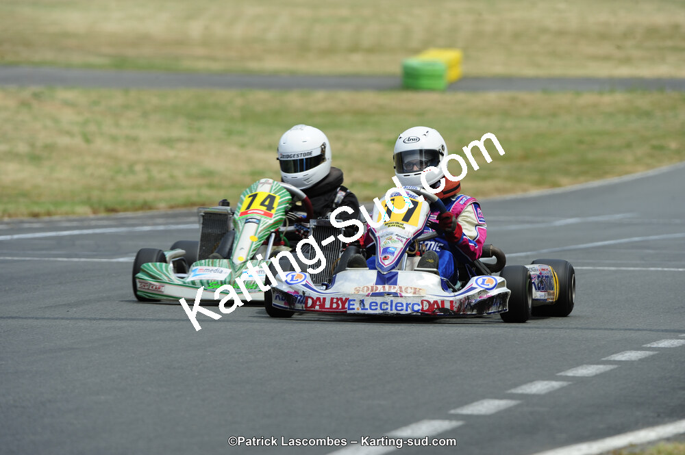 22/06/2014 : 4ème manche du Trophée Jean Paul Puyrigaud à Layrac (Photos Patrick Lascombes) 2014 — karting