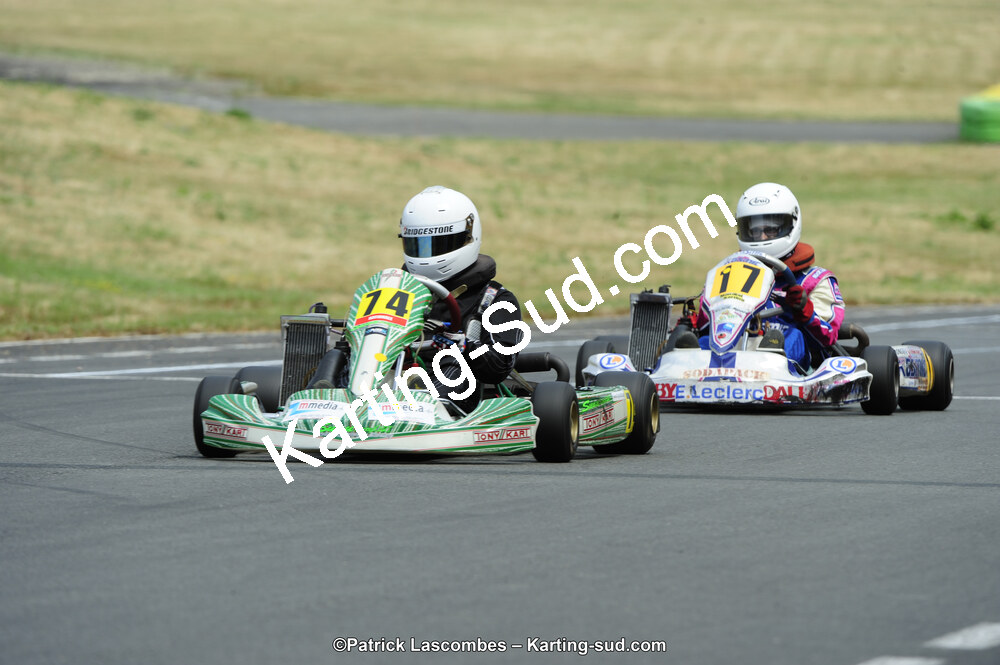 22/06/2014 : 4ème manche du Trophée Jean Paul Puyrigaud à Layrac (Photos Patrick Lascombes) 2014 — karting
