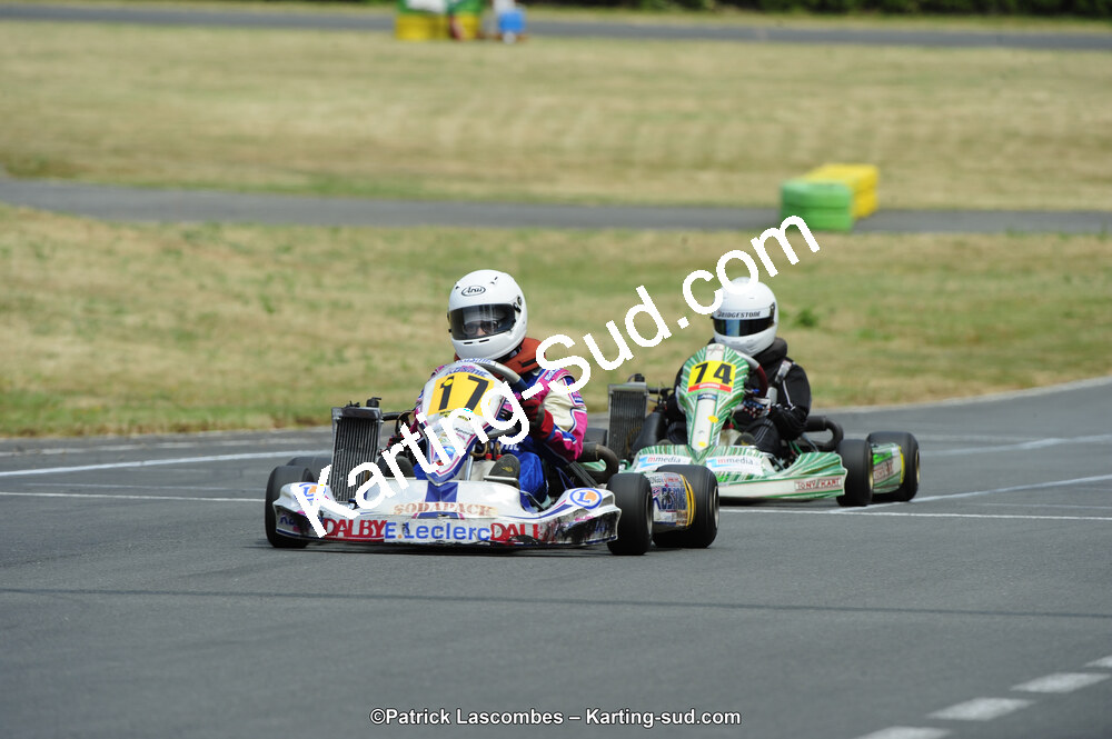 22/06/2014 : 4ème manche du Trophée Jean Paul Puyrigaud à Layrac (Photos Patrick Lascombes) 2014 — karting
