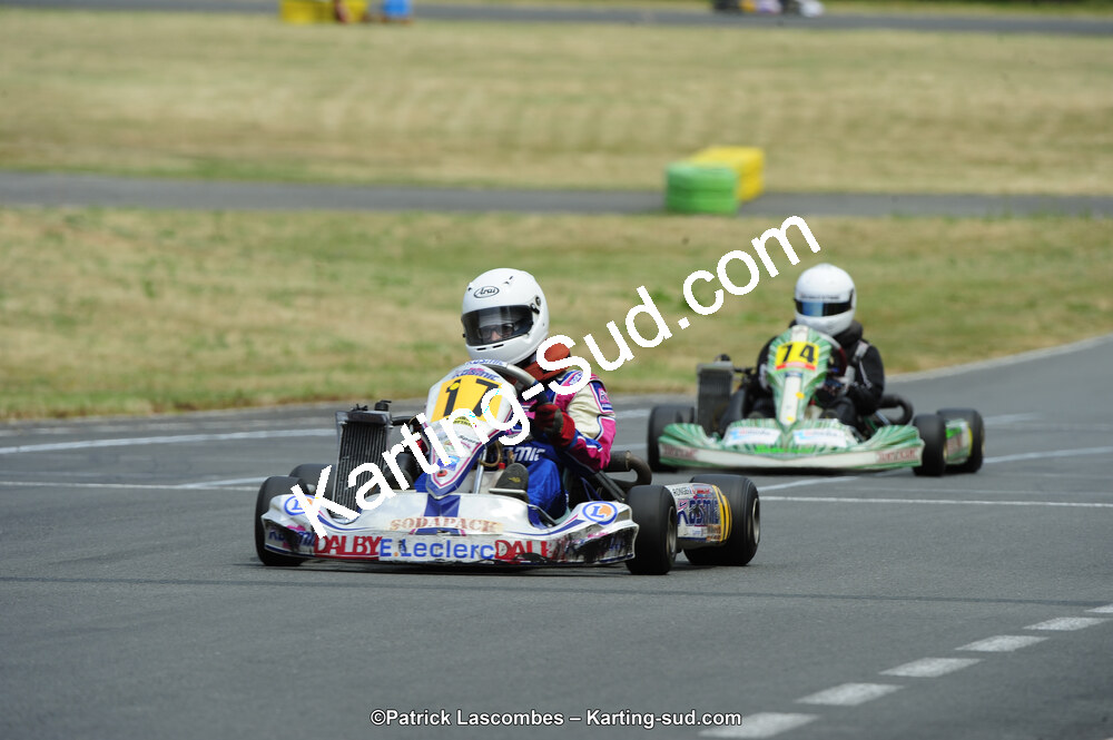 22/06/2014 : 4ème manche du Trophée Jean Paul Puyrigaud à Layrac (Photos Patrick Lascombes) 2014 — karting