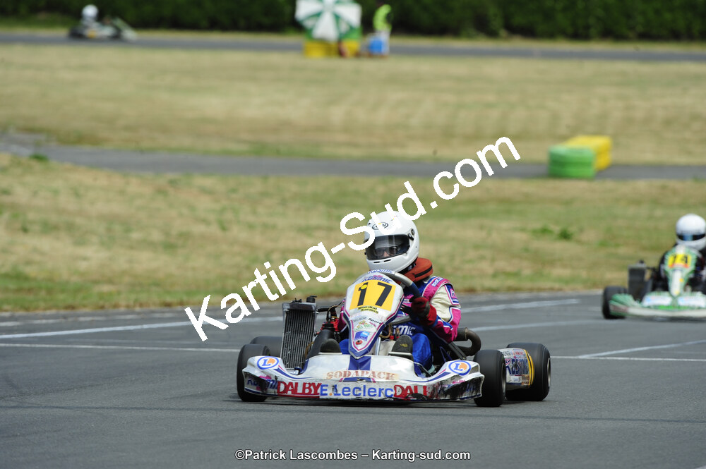22/06/2014 : 4ème manche du Trophée Jean Paul Puyrigaud à Layrac (Photos Patrick Lascombes) 2014 — karting