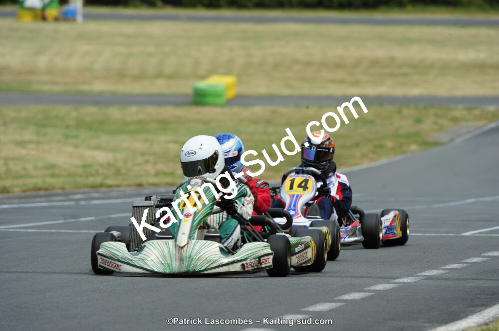22/06/2014 : 4ème manche du Trophée Jean Paul Puyrigaud à Layrac (Photos Patrick Lascombes) 2014 — karting