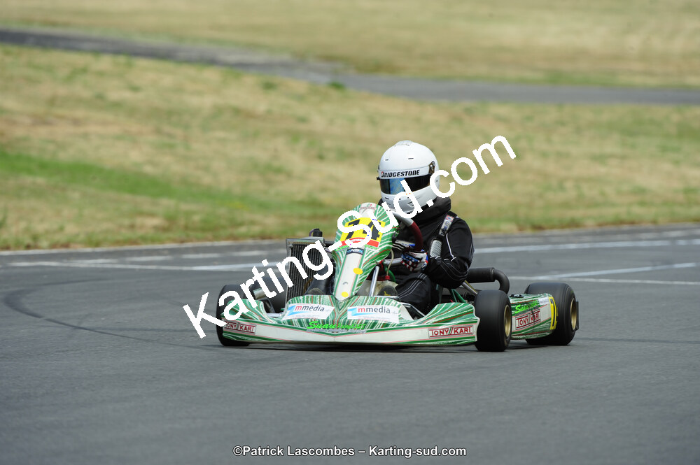 22/06/2014 : 4ème manche du Trophée Jean Paul Puyrigaud à Layrac (Photos Patrick Lascombes) 2014 — karting