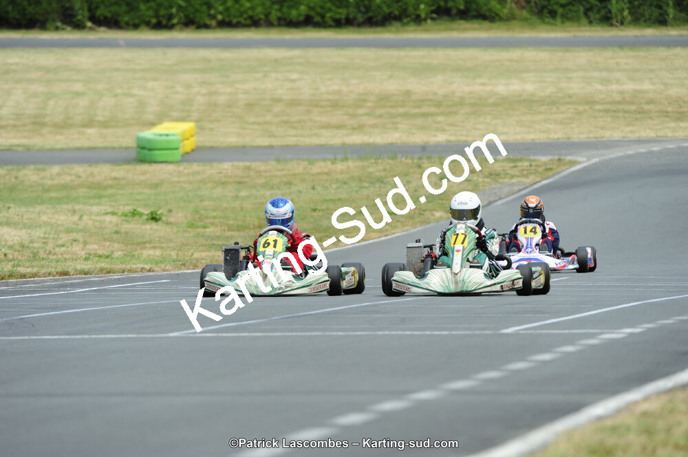 22/06/2014 : 4ème manche du Trophée Jean Paul Puyrigaud à Layrac (Photos Patrick Lascombes) 2014 — karting