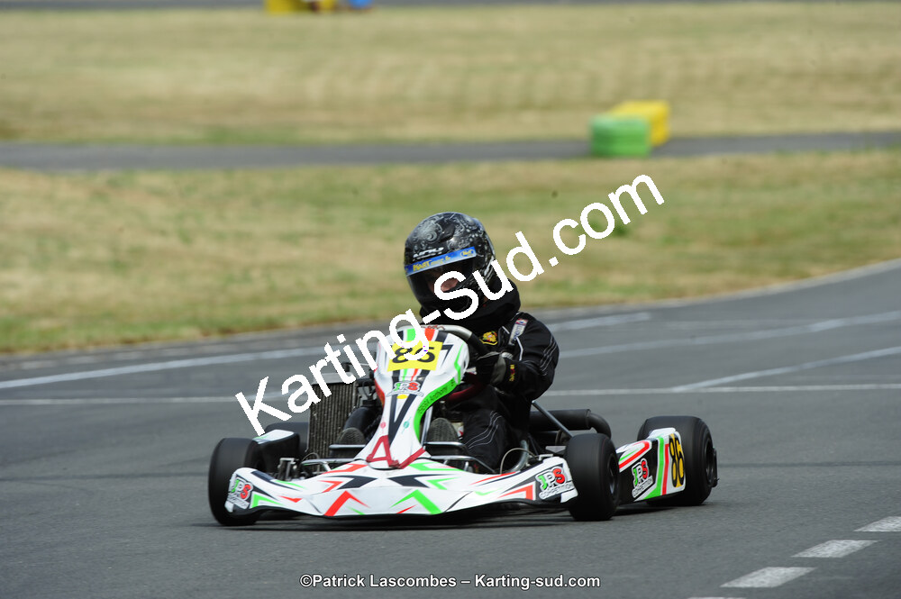 22/06/2014 : 4ème manche du Trophée Jean Paul Puyrigaud à Layrac (Photos Patrick Lascombes) 2014 — karting