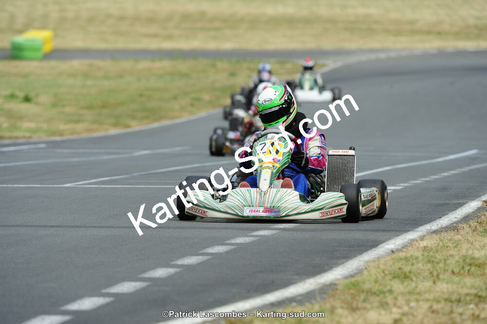 22/06/2014 : 4ème manche du Trophée Jean Paul Puyrigaud à Layrac (Photos Patrick Lascombes) 2014 — karting