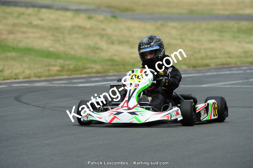22/06/2014 : 4ème manche du Trophée Jean Paul Puyrigaud à Layrac (Photos Patrick Lascombes) 2014 — karting